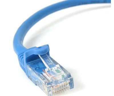 100 ft Blue Snagless Cat 5e UT Online Hot Sale