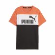 T shirt à manches courtes Enfant Puma Ess Block Noir Orange For Sale