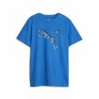 T shirt à manches courtes Enfant Puma Active Sports Graphic Bleu Discount