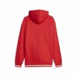 Sweat à capuche homme Puma Squad Fl Rouge Online now