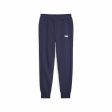 Pantalon de Survêtement pour Adultes Puma Ess+ 2 Col LogonT Blue marine Homme Cheap